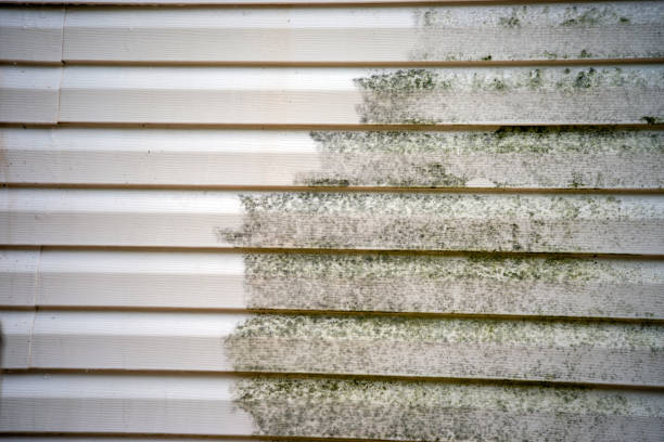 Best Furniture Removal  in Reidsville, NC